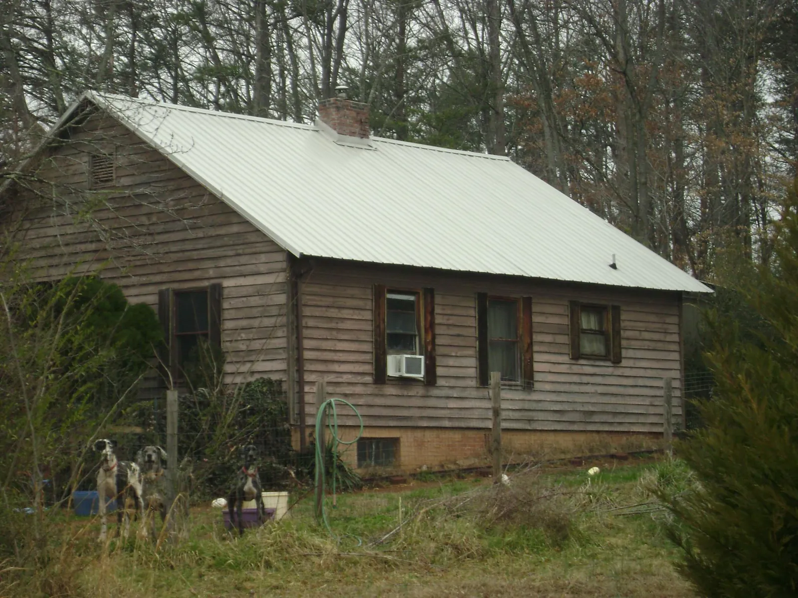 White metal roof on an old wood sided farmhouse, from a Asphalt Shingle Roof Repair job in Mottville